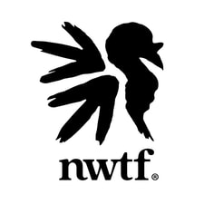 National Wild Turkey Federation NWTF logo
