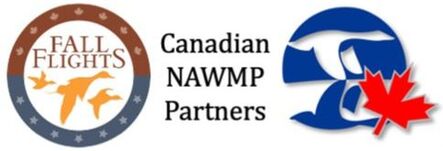 Canadian NAWMP Partners - Fall Flights