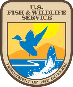U.S. Fish & Wildlife Service - Department of the Interior logo